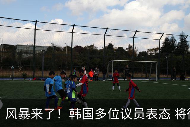 风暴来了！韩国多位议员表态 将彻底调查韩国足协